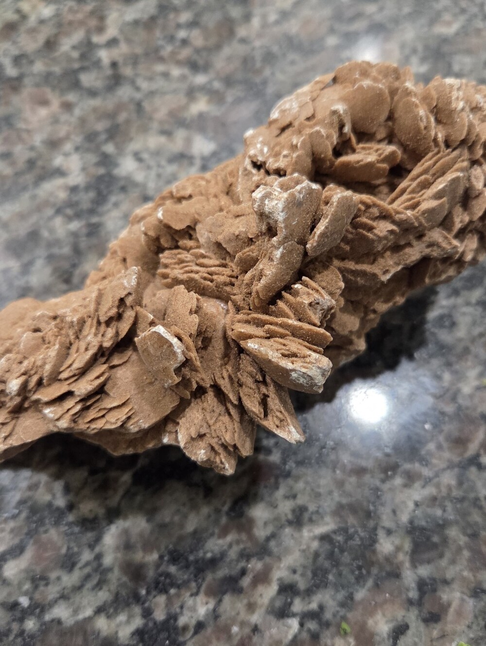 Natural Desert Rose Crystal #6 New - Picture 5 of 6